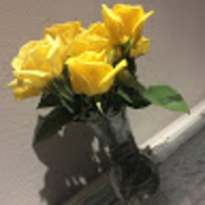 Meet your Posher, Derek